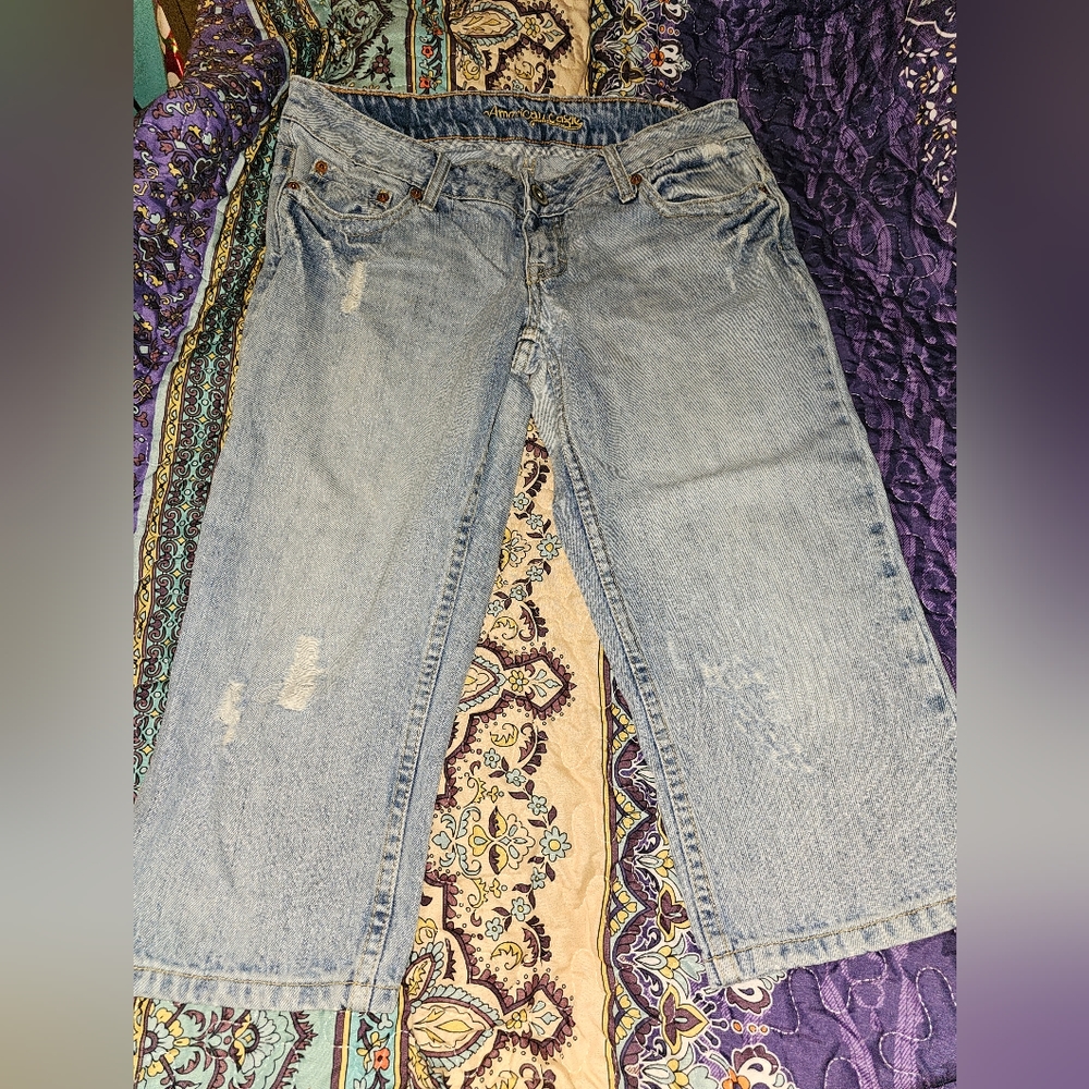 Vintage American Eagle Artist Capri